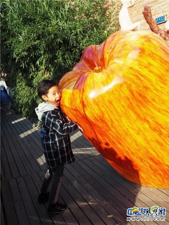 蔡国庆儿子庆庆就已经成为大家重点关注的萌娃对象 蔡国庆儿子庆庆就已经成为大家重点关注的萌娃对象