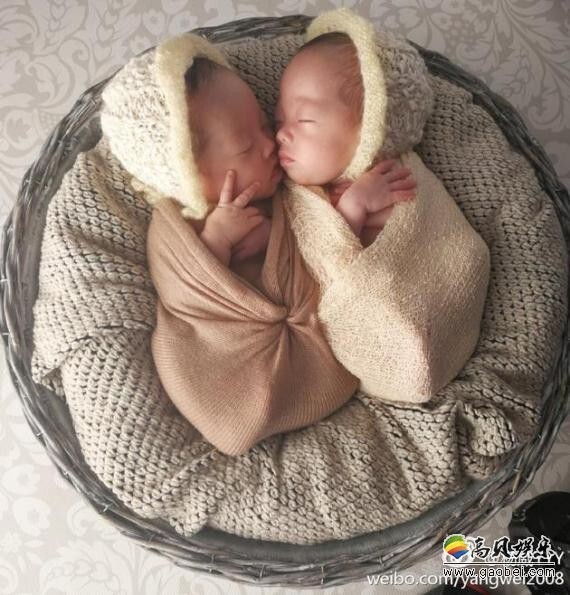 2月28日晚杨威在微博晒双胞胎女儿萌照