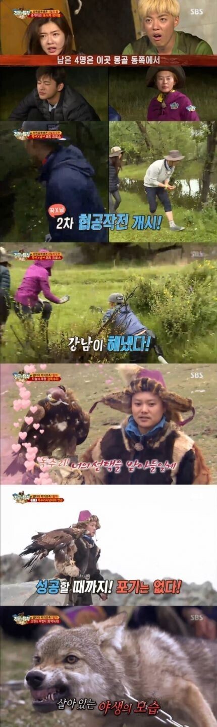 综艺节目《丛林的法则》“蒙古篇”收视率为14.3% 综艺节目《丛林的法则》“蒙古篇”收视率为14.3%