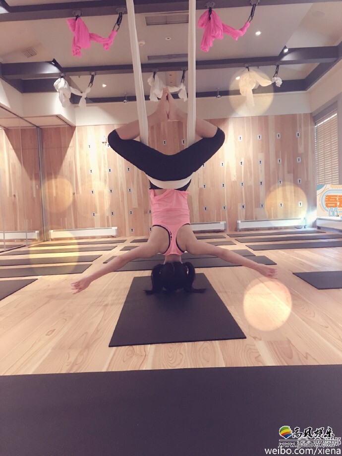 谢娜微博晒出一组健身照片,她吊绳悬空 谢娜微博晒出一组健身照片,她吊绳悬空