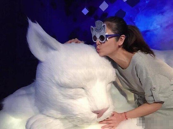 林心如首次曝光自己的孕相 林心如首次曝光自己的孕相