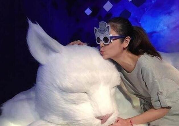 林心如挺孕肚去看什么摄影展了? 林心如挺孕肚去看什么摄影展了?