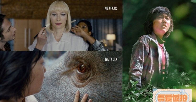 导演奉俊昊公开了新作《玉子》的预告片 导演奉俊昊公开了新作《玉子》的预告片