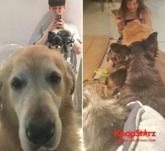 安宰贤上传了一张和妻子具惠善互相为对方拍照片生活照 安宰贤上传了一张和妻子具惠善互相为对方拍照片生活照