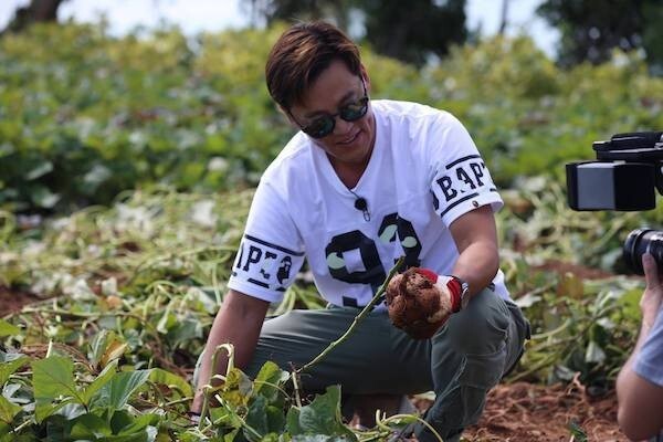 李瑞镇在地里挖地瓜 李瑞镇在地里挖地瓜