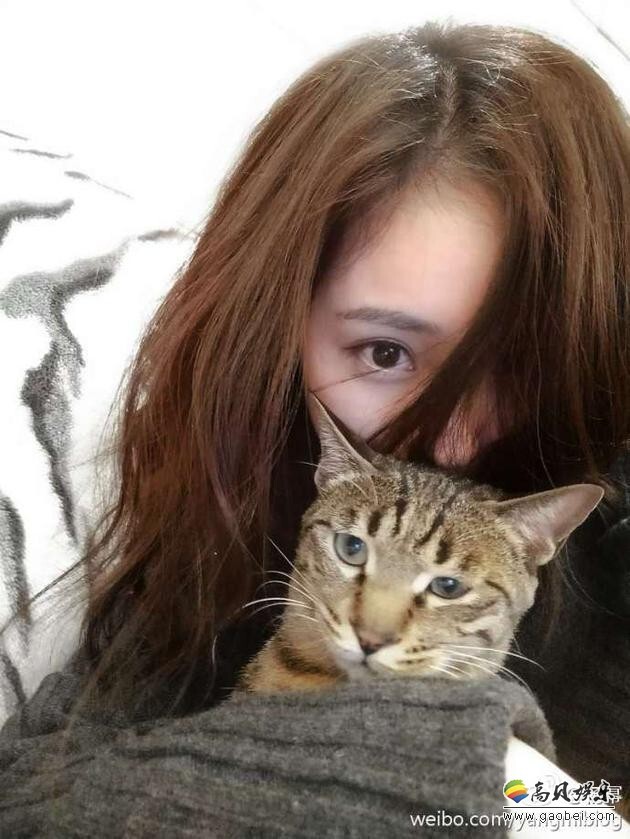 杨幂在微博晒出和爱猫的合影,并自曝被爱猫咬 杨幂在微博晒出和爱猫的合影,并自曝被爱猫咬
