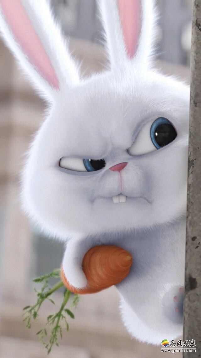 为什么好多女明星不生孩子? 为什么好多女明星不生孩子?