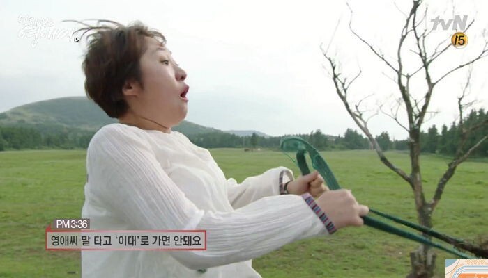 tvN电视剧《无理的英爱小姐第15季》暗讽崔顺实女儿以特权进梨大 tvN电视剧《无理的英爱小姐第15季》暗讽崔顺实女儿以特权进梨大