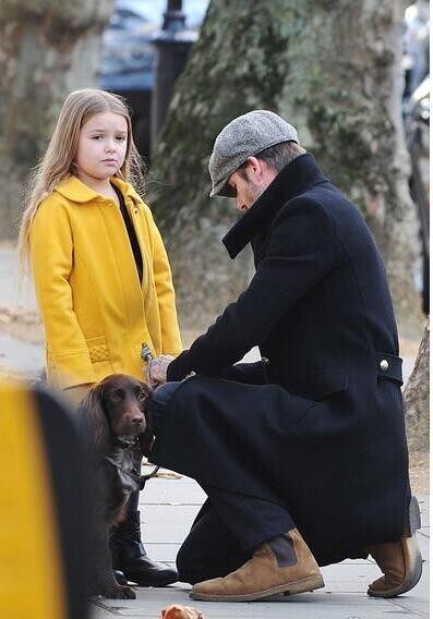 大卫·贝克汉姆带着女儿小七外出遛狗了? 大卫·贝克汉姆带着女儿小七外出遛狗了?