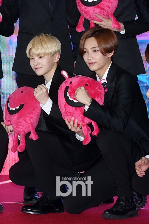 Seventeen出席了“2017 C-Festival”宣传大使委任仪式