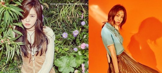 《Pink Revolution》成员娜恩的个人预告照公开