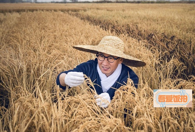 “尔康”周杰在东北种大米？