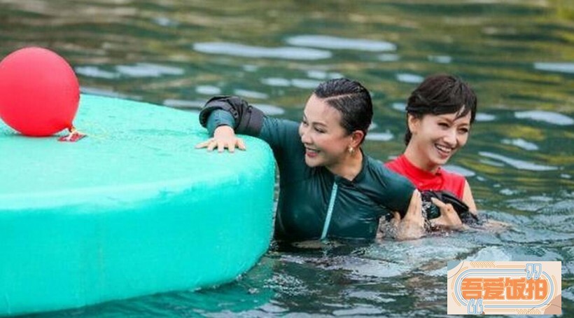 赵雅芝刘嘉玲近期参期了什么综艺节目？