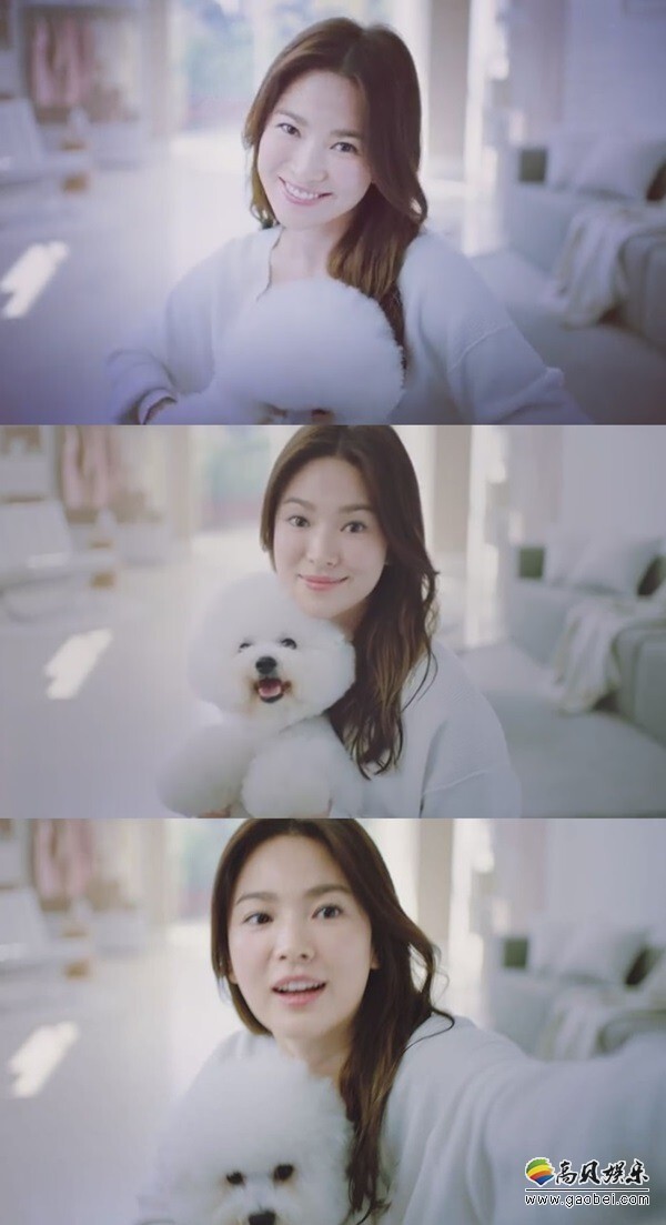 纯洁的美女”宋慧乔 清纯的教的科书 纯洁的美女”宋慧乔 清纯的教的科书