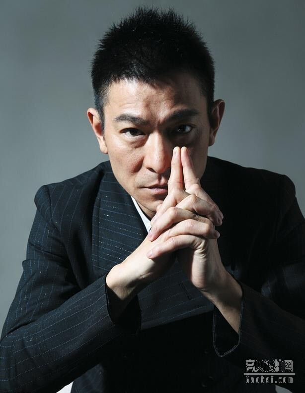 刘德华曾任哪些大使？分别在哪一年任？