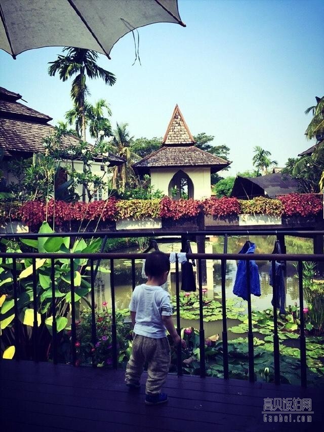 杨乐乐儿子沐沐也长好大了? 杨乐乐儿子沐沐也长好大了?