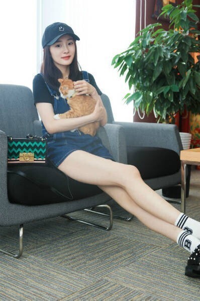 杨幂宠溺猫咪?大长脚抢镜? 杨幂宠溺猫咪?大长脚抢镜?