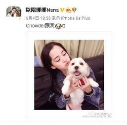 欧阳娜娜微博发了张和狗狗的可爱照片，网友又亮了？