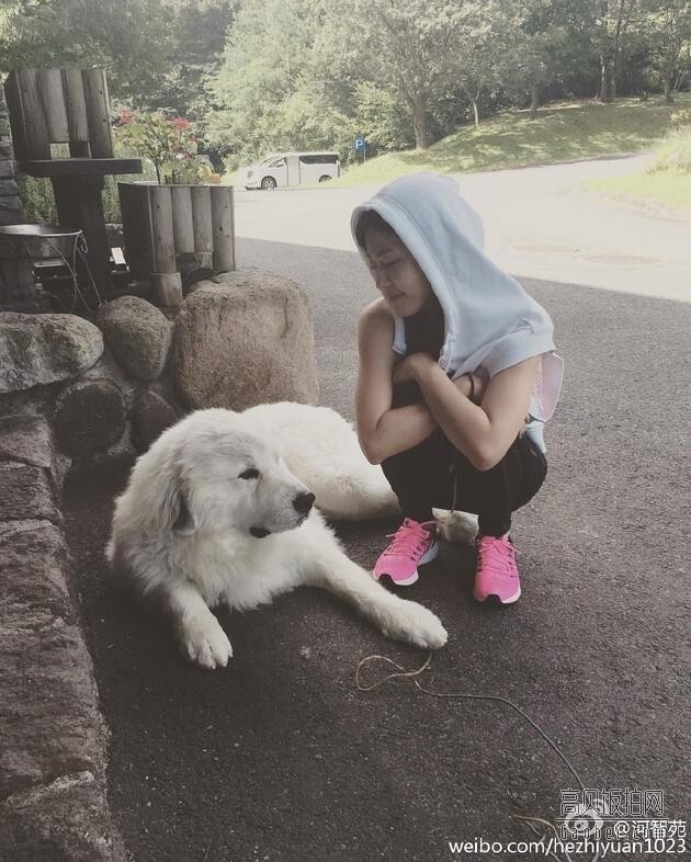 河智苑在微博晒出健身时与一只大白狗的照片 河智苑在微博晒出健身时与一只大白狗的照片
