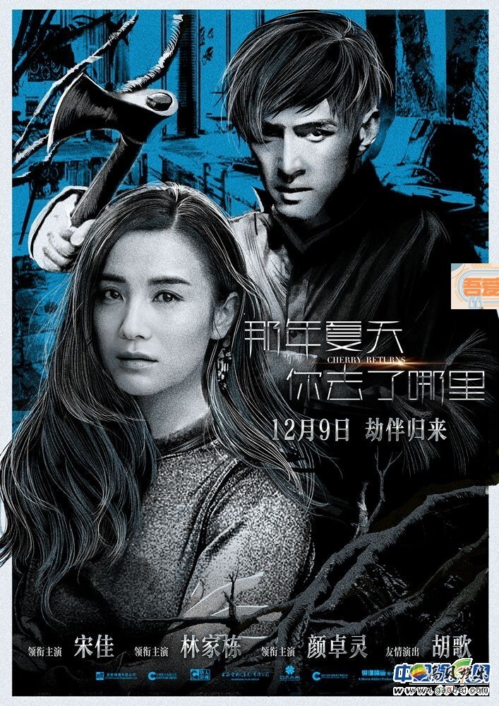 悬疑犯罪电影《那年夏天你去了哪里》定档12月9日全国公映