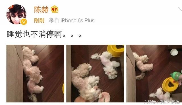 陈赫一晒微博,,网友又亮了? 陈赫一晒微博,,网友又亮了?