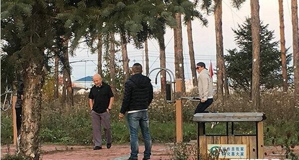 杜淳为什么也变老干部了? 杜淳为什么也变老干部了?