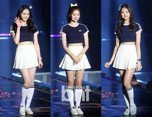 韩国女子组合I.O.I将以7人组形式展开活动