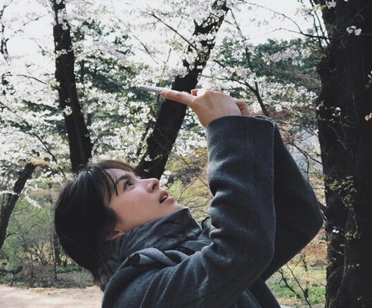 韩国女艺人宋慧乔在SNS上晒出一张近照 韩国女艺人宋慧乔在SNS上晒出一张近照