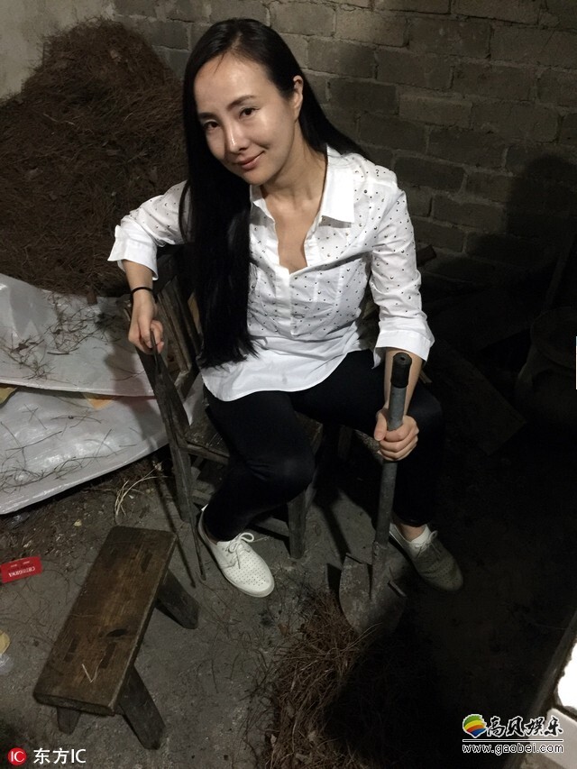 干露露回家乡探亲了？