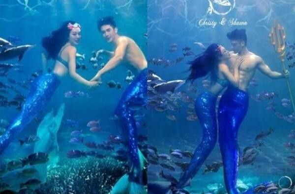 钟丽缇婚礼电子请帖曝光了? 钟丽缇婚礼电子请帖曝光了?