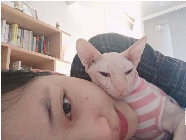 崔雪莉ins与“丑猫”躺床贴脸自拍？