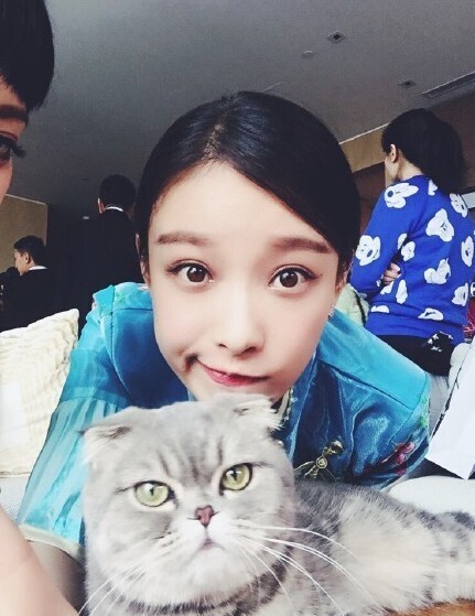 演员倪妮怎么进入演艺圈的？