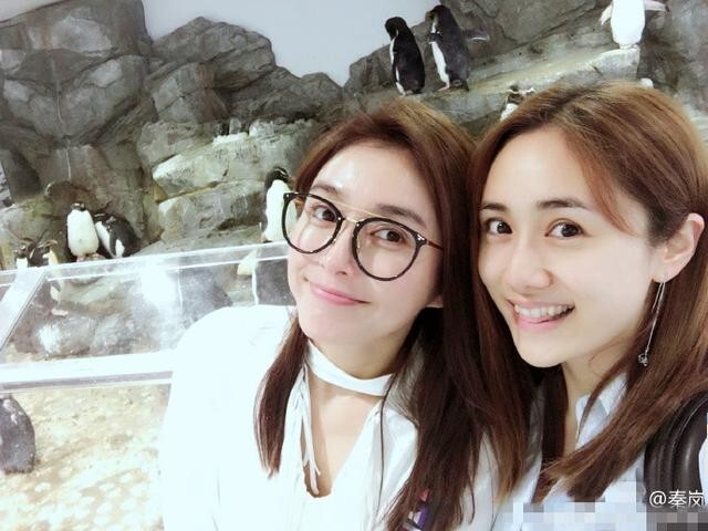 秦岚素颜与刘芸同框了？
