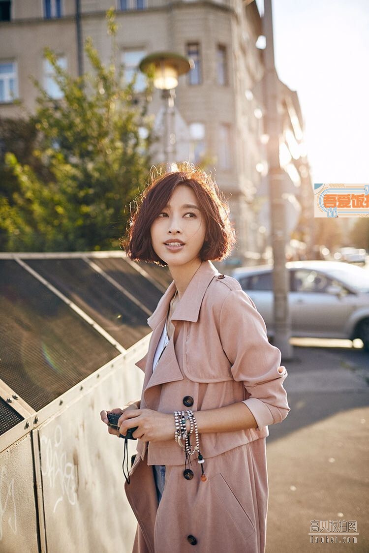 张俪的职业是什么？