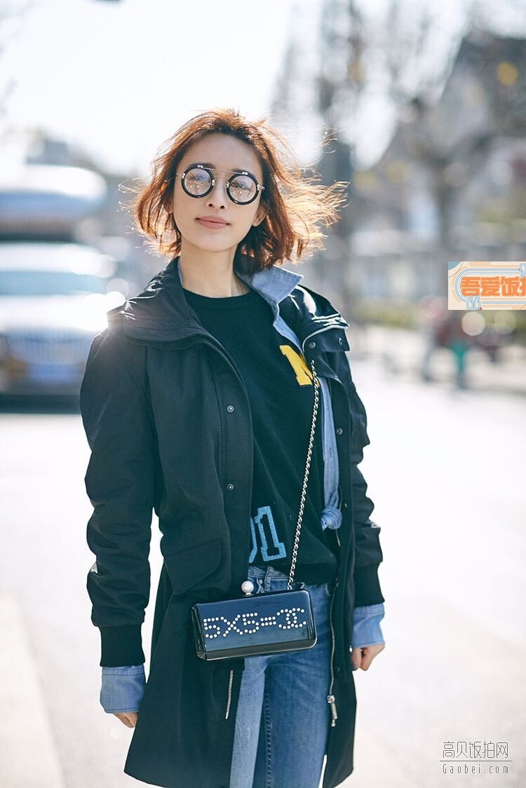 张俪的主要成就有哪些？