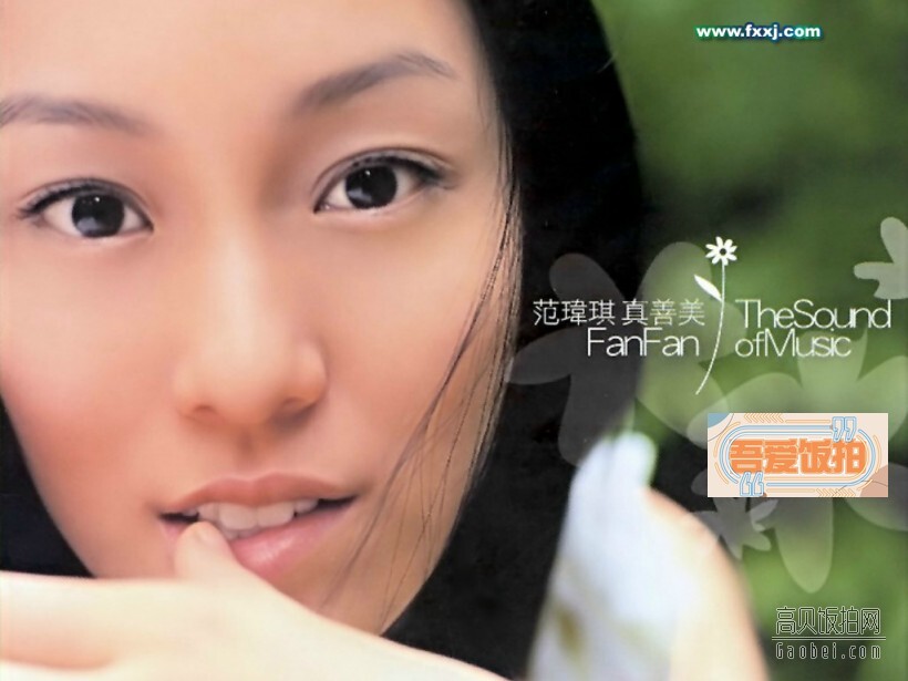 范玮琪的的职业是什么？