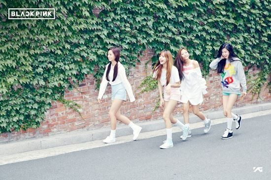 新人女团BLACK PINK7月底正式出道 YG娱乐称暂无计划推出其他女团 新人女团BLACK PINK7月底正式出道 YG娱乐称暂无计划推出其他女团