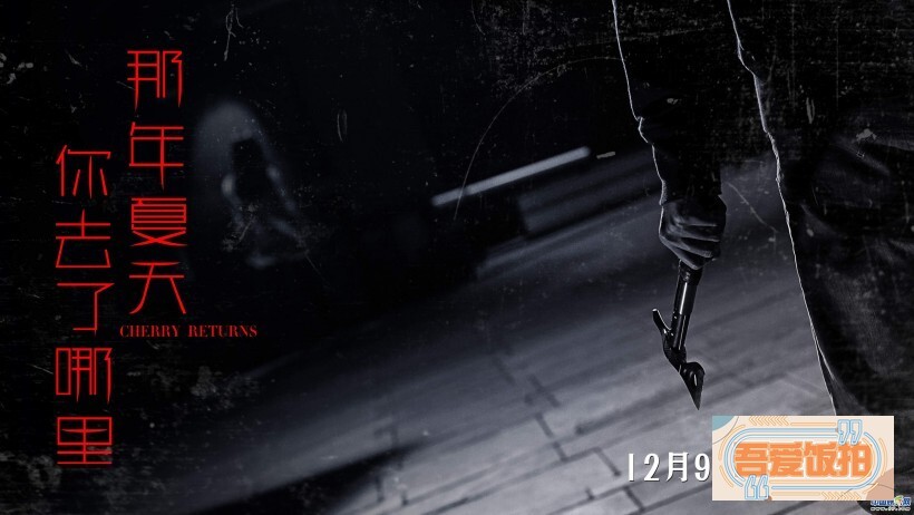 悬疑犯罪电影《那年夏天你去了哪里》将于12月9日全国上映 悬疑犯罪电影《那年夏天你去了哪里》将于12月9日全国上映