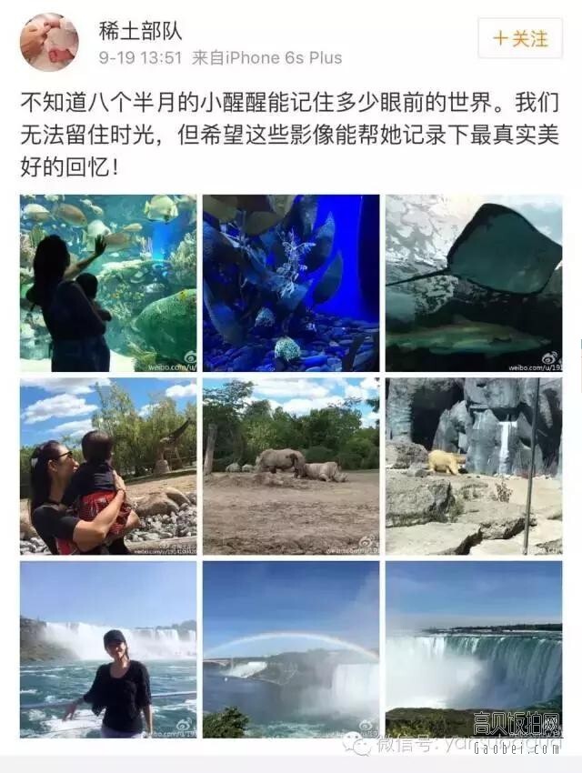 章子怡已身为女儿奴了，醒醒知道吗？