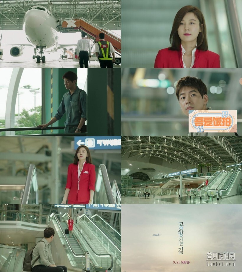 《通往机场的路》是今秋唯一的剧情类电视剧 《通往机场的路》是今秋唯一的剧情类电视剧