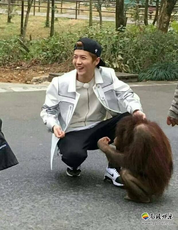 热门综艺《奔跑吧兄弟》正式更名为《奔跑吧》 热门综艺《奔跑吧兄弟》正式更名为《奔跑吧》