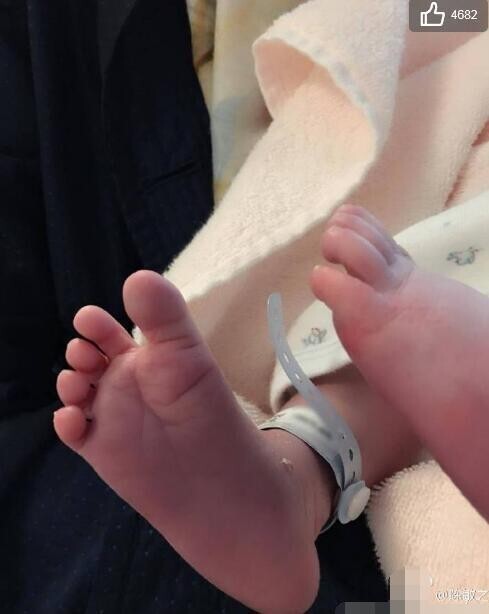 陈敏之是怎样发文报喜的? 陈敏之是怎样发文报喜的?