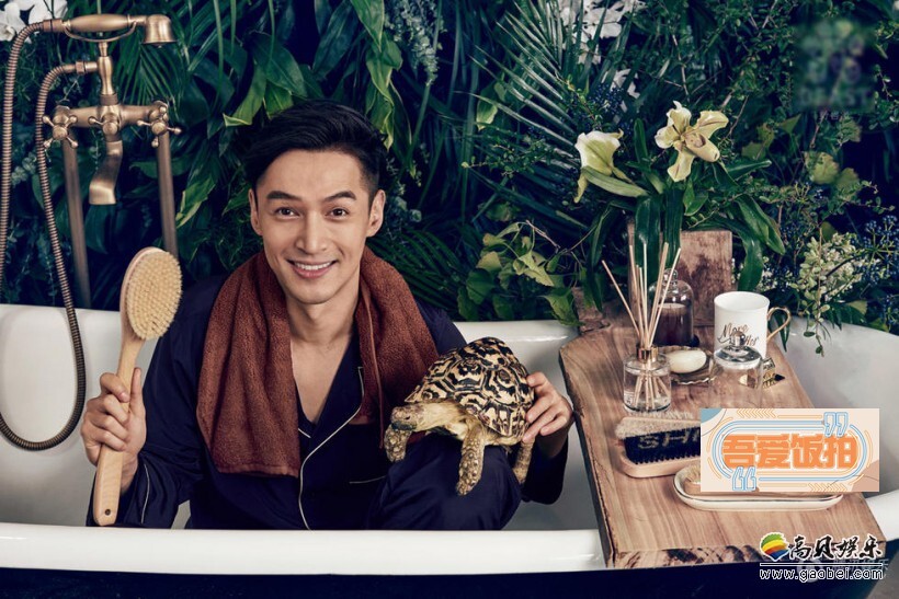 胡歌竟然搭档六岁乌龟? 胡歌竟然搭档六岁乌龟?