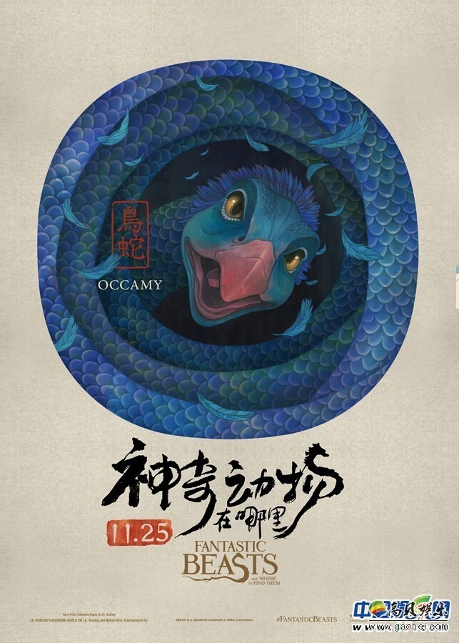 3D魔幻巨制《神奇动物在哪里》将于11月25日登陆内地银幕