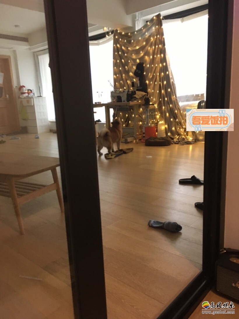 郑爽用微博小号晒出自己的闺房照，房间内布置较为随意凌乱