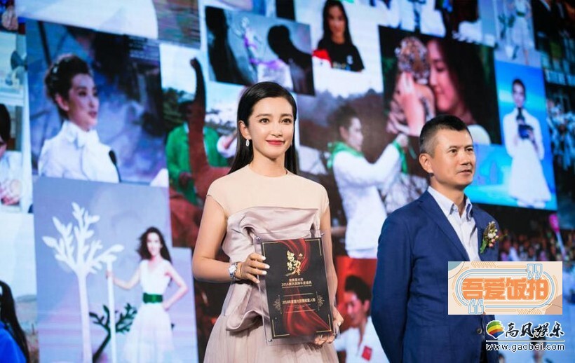 李冰冰荣获“智慧的力量”2016年度星光慈善能量人物称号？
