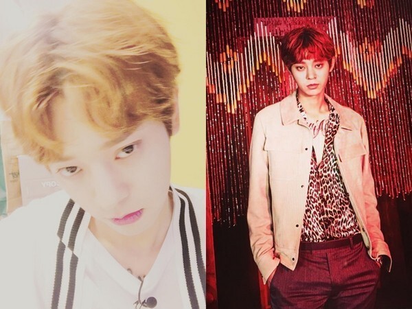 韩国歌手郑俊英以独特的唱腔受到瞩目 韩国歌手郑俊英以独特的唱腔受到瞩目