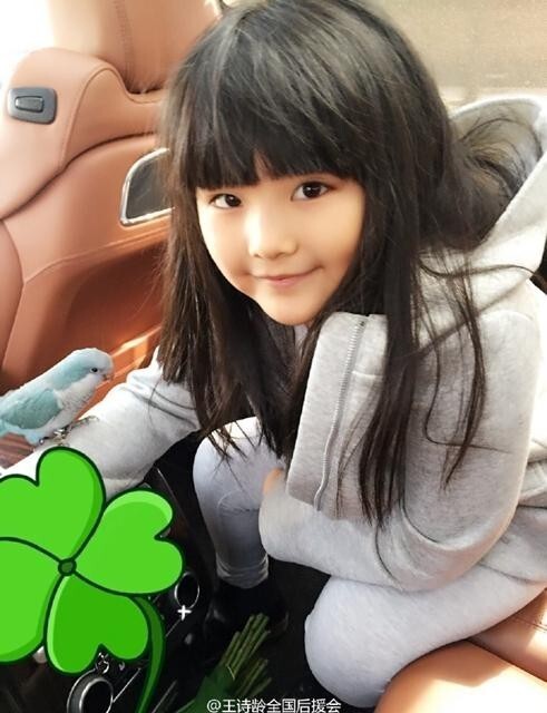 王诗龄逛花鸟市场却很有爱心,为什么呢? 王诗龄逛花鸟市场却很有爱心,为什么呢?