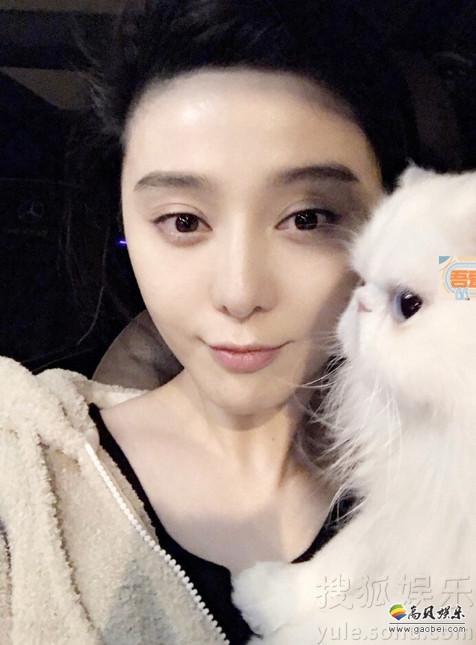 范冰冰晒出一组自己与爱猫的合影