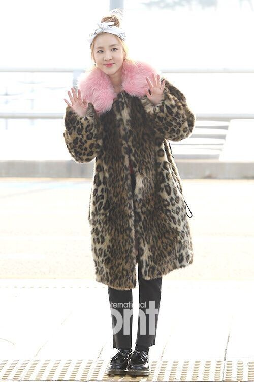 韩国女子组合2NE1成员DARA现身仁川国际机场 韩国女子组合2NE1成员DARA现身仁川国际机场